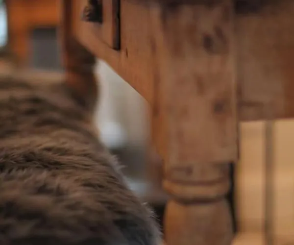 Апартаменты Exklusive Designferienwohnung The Backyard Tby 02 Трир